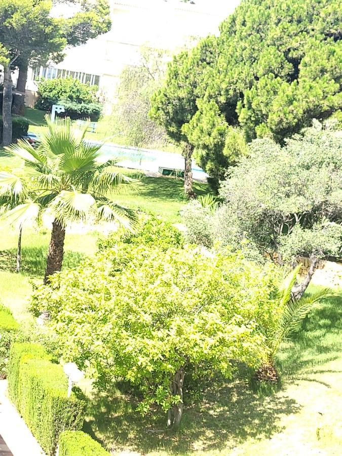 La Casa Alegre Villa Alicante Buitenkant foto